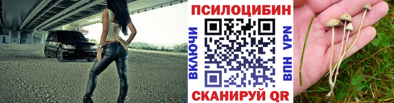 Псилоцибиновые грибы ЛСД  Купить где  Анива 